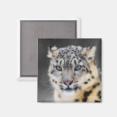 ユキヒョウ マグネット (正面/裏面)