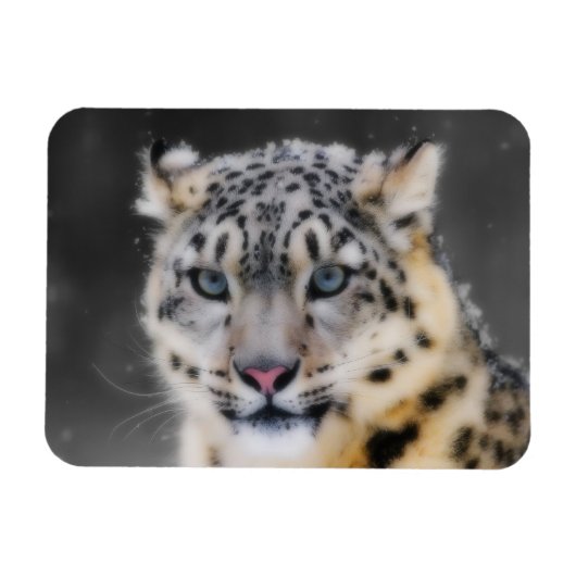 ユキヒョウ マグネット (横)