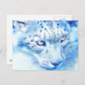 *ユキヒョウ*ワイルドスピリット ポストカード (正面/裏面)