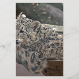 ユキヒョウ 便箋