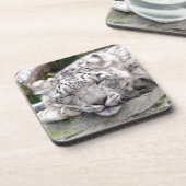 ユキヒョウ – 美しい！ コースター (左側)