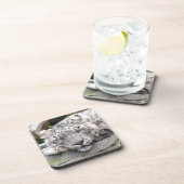 ユキヒョウ – 美しい！ コースター (右側)