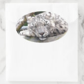 ユキヒョウ – 美しい！ 楕円形シール (バッグ)