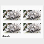 ユキヒョウ – 美しい！ 長方形シール (シート)