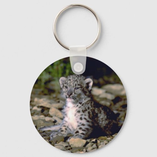 ユキヒョウ、若い子 キーホルダー (正面)