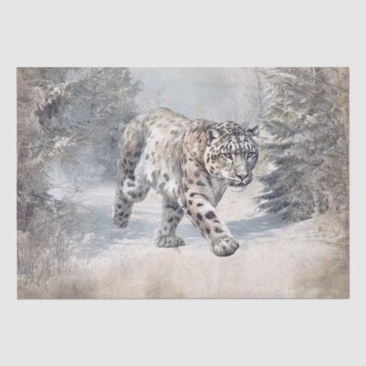 ユキヒョウ 野生ネコ 水彩画 薄葉紙 (正面)