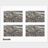 ユキヒョウ 長方形シール (シート)