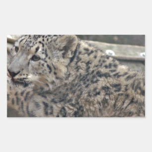 ユキヒョウ 長方形シール