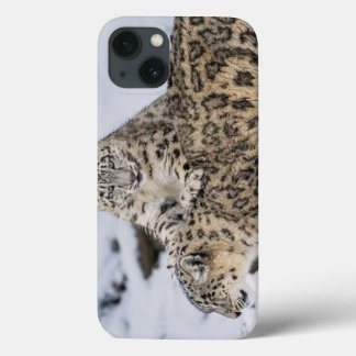 ユキヒョウ： iPhone 13ケース