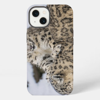 ユキヒョウ: iPhone 13ケース