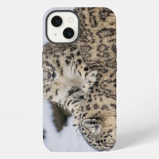 ユキヒョウ: iPhoneケース (裏面)