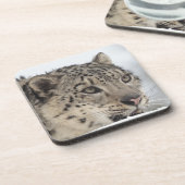 ユキヒョウ(Unciaのuncia) 2 コースター (左側)