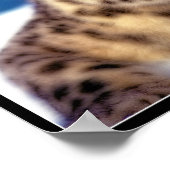ユキヒョウII ポスター (角)