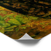 ユグノーの恋人たちサンバルトローネの日 ポスター (角)