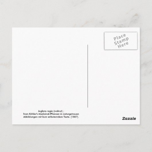 ユグランレギア(クルミ) ポストカード (裏面)