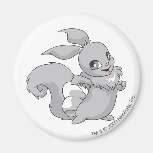 ユスル・シルバー マグネット (正面)