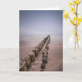 ユセドムアイランドバルト海 カード (黄色い花)