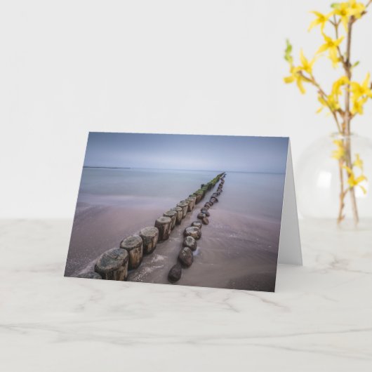 ユセドムドイツカード島 カード (黄色い花)