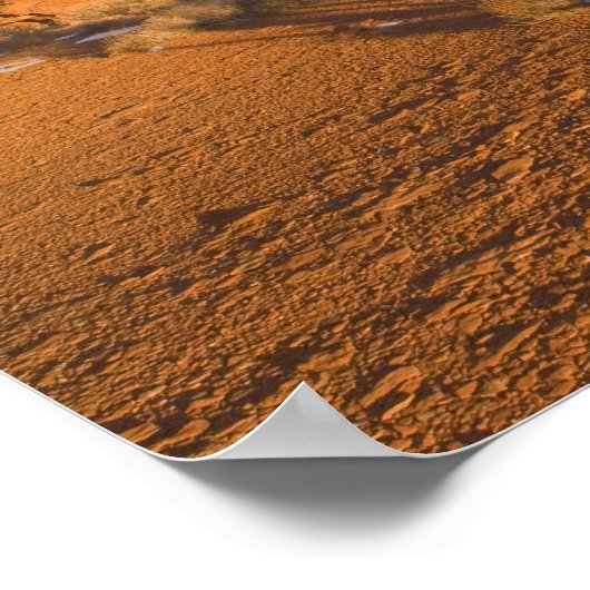 ユタのジュニパースのJuniperusの骨のperma)の木(2) ポスター (角)