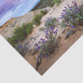 ユタのスノーキャニオン野草 薄葉紙 (詳細)