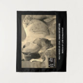 ユタのタペストリー野生の馬、オナキー山脈BLM タペストリー (正面)