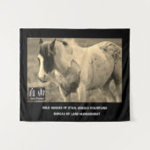 ユタのタペストリー野生の馬、オナキー山脈BLM タペストリー (正面(横))