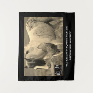 ユタのタペストリー野生の馬、オナキー山脈BLM タペストリー