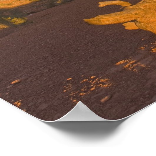 ユタのユタ属ジュニパース属の骨親腫の木 ポスター (角)