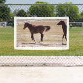 ユタの旗W/GROMMETSの野生の馬 横断幕 (インサイチュ)