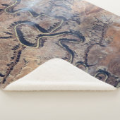 ユタの緑の川とその支流の峡谷 シェルパブランケット (3/4)