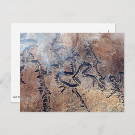 ユタの緑の川とその支流の峡谷 ポストカード (正面/裏面)