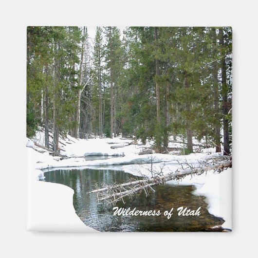 ユタの荒野 マグネット (正面)