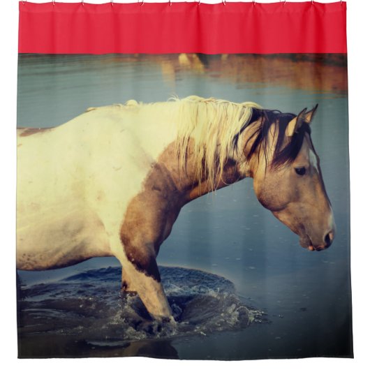 ユタの野生の馬が水シャワーカーテンに入る シャワーカーテン (正面)