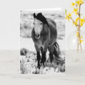 ユタの野生の馬 カード (黄色い花)