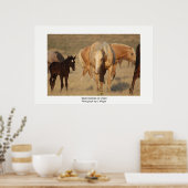 ユタの野生馬の写真 ポスター (キッチン)