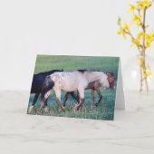 ユタウレイノテカードの野生馬 カード (黄色い花)