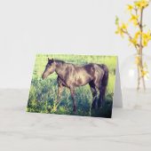 ユタウレイノテカードの野生馬 カード (黄色い花)