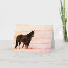 ユタオナキ群の野生馬 カード