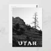 ユタシオンナショナルパークローンツリー白黒 ポストカード (正面/裏面)