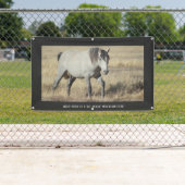 ユタバナーの野生馬 横断幕 (インサイチュ)