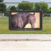 ユタバナーの野生馬 横断幕 (インサイチュ)