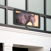 ユタバナーの野生馬 横断幕 (ビルの外側)
