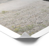 ユタワイルドウマランニングーズ ポスター (角)