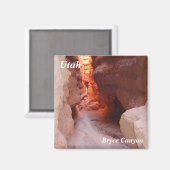 ユタ冷凍機マグネットブライスキャニオン マグネット (正面/裏面)