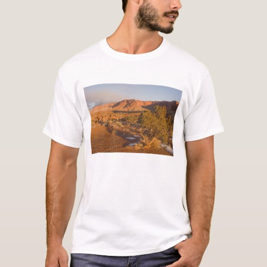 ユタ州のジュニパー Juniperus osteosperma) の木 2 Tシャツ (正面)