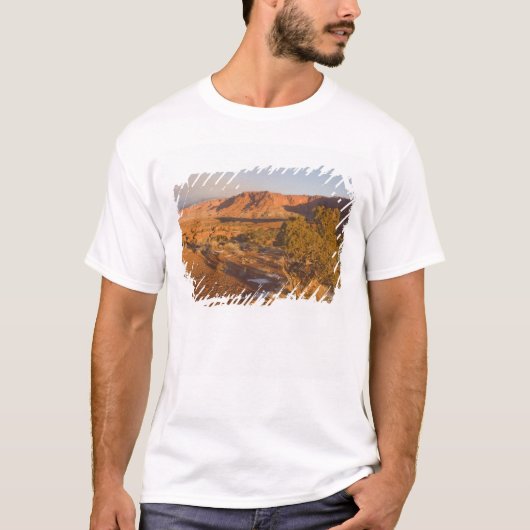 ユタ州のジュニパー Juniperus osteosperma) の木 2 Tシャツ (正面)