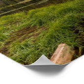 ユタ州のムースホルン湖 ポスター (角)