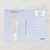 ユタ州の大階段国家記念碑 ポストカード (裏面)