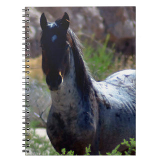 ユタ州の野生の種馬 ノートブック