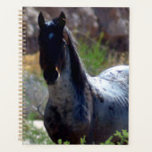 ユタ州の野生の種馬 プランナー手帳 (正面)